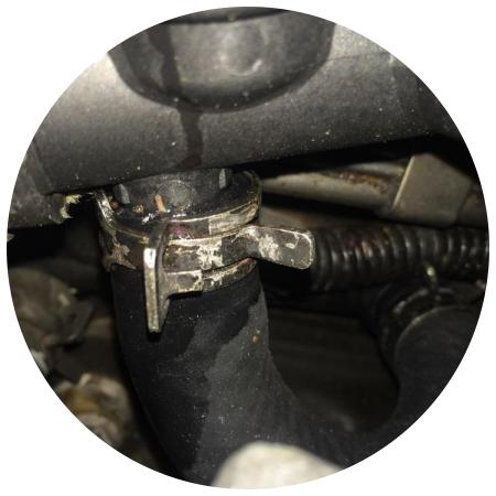 патрубок охлаждения с хомутом