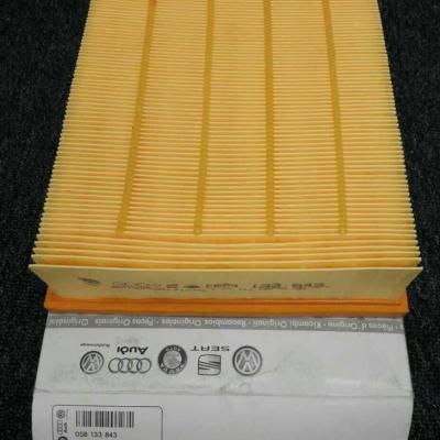 воздушный фильтр двигателя ВАГ