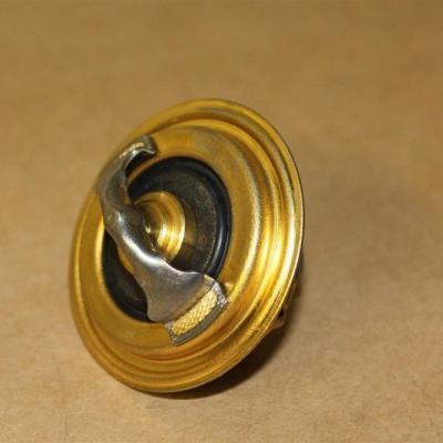 термостат Ауди